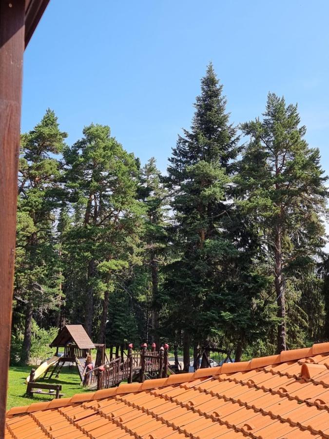 Borovets Ski&Spa Studio - Semiramida Garden A16 Bagian luar foto